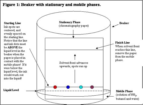 Paper Chromatography Diagram Stationary Phase