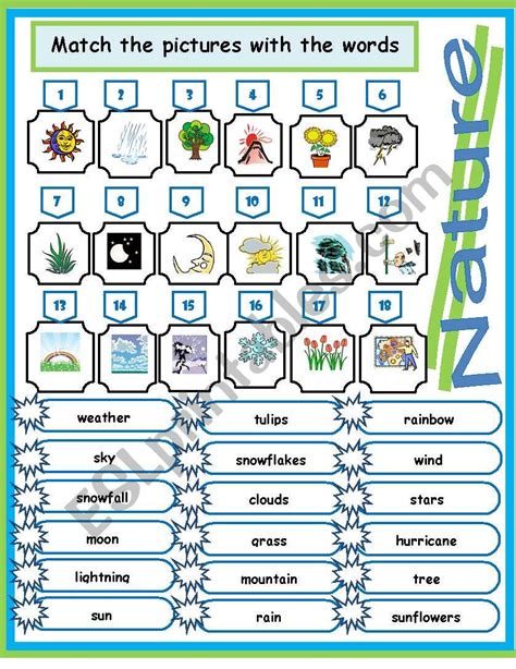 Nature words ( Match) - ESL worksheet by jhansi