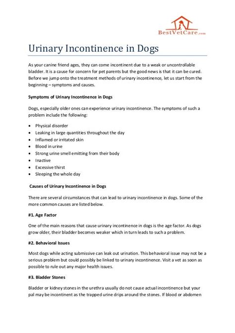 Urinary incontinence in dogs