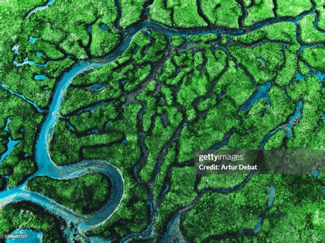 Beautiful Aerial View Of Meander River With Affluents And Green ...