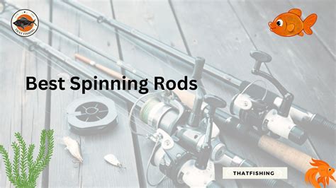 The Best Spinning Rods 2023: What Is The Right One For You