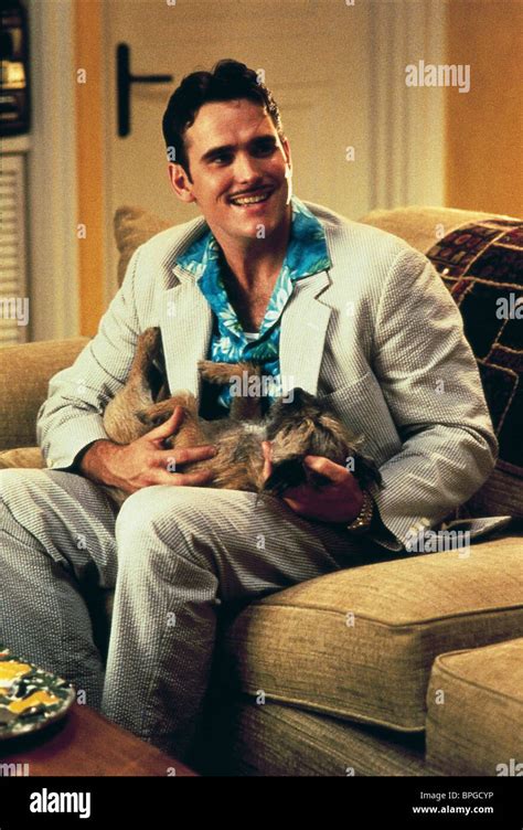 Theres Something About Mary Matt Dillon High Resolution Stock ...