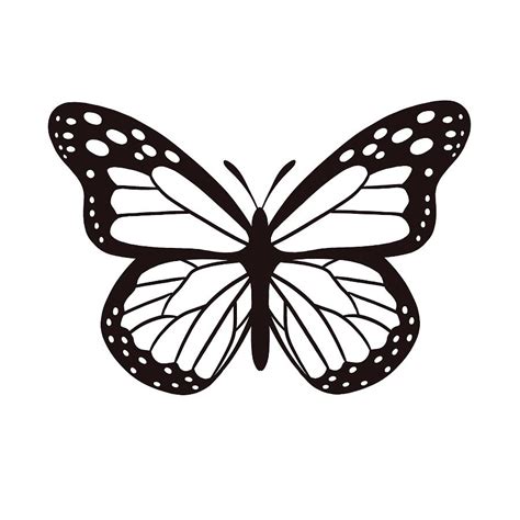 Black And White Butterfly Artwork