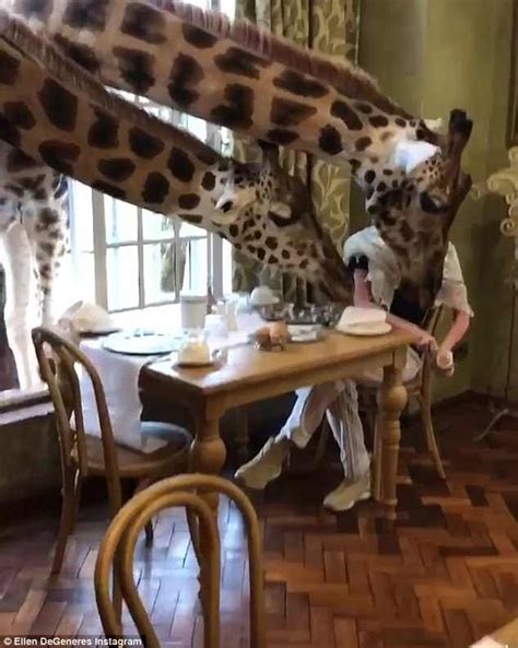 Ellen DeGeneres and wife Portia de Rossi spend time at Giraffe Manor in ...