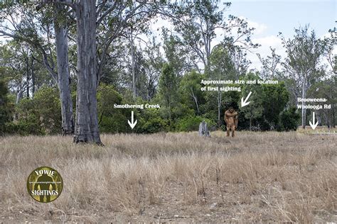 Yowie sighting QLD Smothering Creek September 2020 - Yowie Sightings News