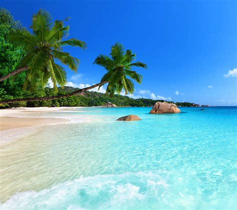 Download Tropical Beach wallpaper by ____S - 00 - Free on ZEDGE™ now. Browse millions of popular ...