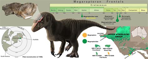 Species New to Science: [Paleontology • 2023] A megaraptorid (Theropoda ...