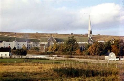 Carbonear. Newfoundland | Newfoundland, Paris skyline, Skyline