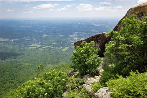 Virginia Piedmont Photograph by Teresa Mucha - Fine Art America