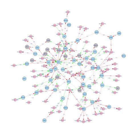 A sub-network from the human cancer combinatorial gene regulatory ...