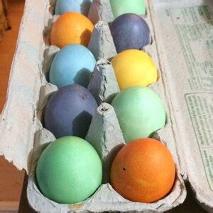 Natural Egg Dye Kit - Etsy