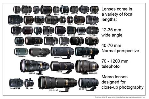 Image result for types of lenses mm | Focal length, Lenses, Wide angle