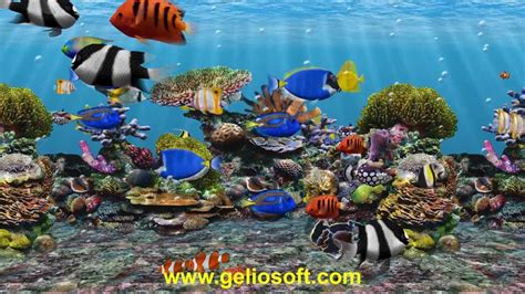 3D Fish School Aquarium Screensaver - Tropical Fish Tank for Windows HD ...