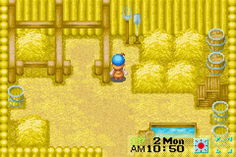 Harvest Moon: Friends of Mineral Town Screenshots | GameFabrique