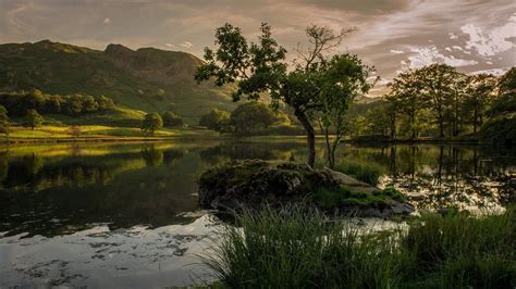 body, tree, forest, tranquility, tranquil scene, mountains, landscape ...