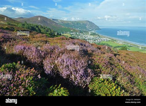 Views of penmaenmawr from Conwy mountain Stock Photo - Alamy