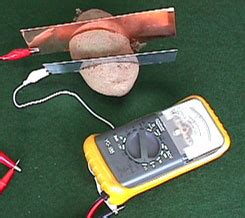 Potato Battery – Science Projects