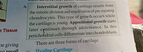 內o Interstitial growth of cartilage results from the mitotic division and..