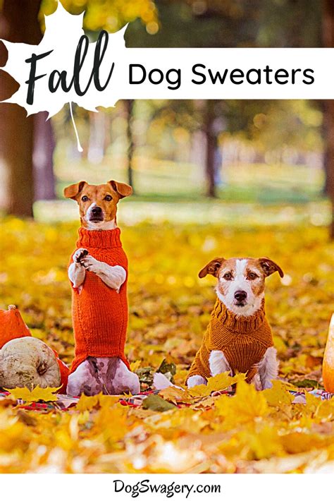 Knit Dog Sweaters for Fall