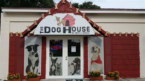 The Dog House Lends a Paw - Safety Harbor Connect