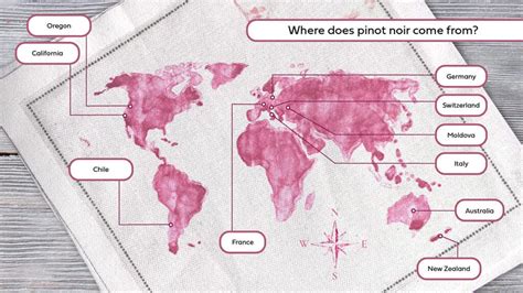 Pinot Noir: The Complete Guide | The Table by Harry & David