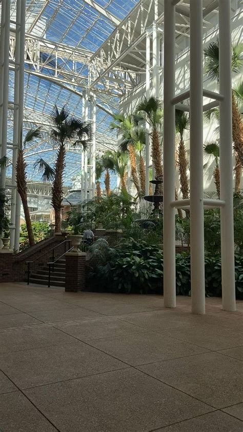 Gaylord Opryland Resort | Gaylord opryland, Resort, Garden