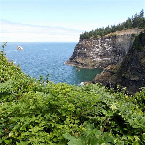 THE 10 BEST Hotels in Oregon Coast 2023 (from $84) - Tripadvisor