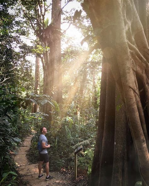 Nature Park At Klang Valley Which You Can Enjoy Fresh Air Walk With ...