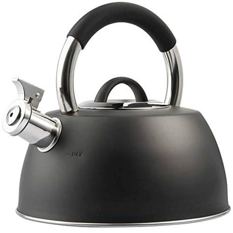 The 10 Best Induction Hob Kettles in the UK for 2024