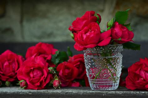 Bouquet Of Roses, Vase, Crystal Free Stock Photo - Public Domain Pictures
