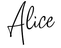 About | Alice North