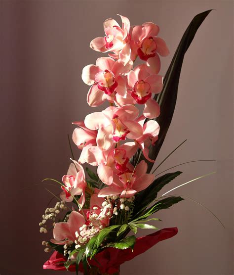 A Bouquet Of Pink Moth Orchids · Free Stock Photo