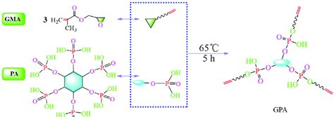 Scheme 1. Reaction mechanism of PA and GMA. Scheme 1. Reaction... | Download Scientific Diagram