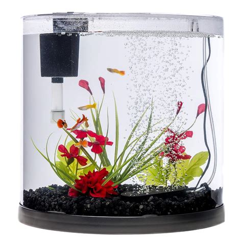 3 Perfect 10 Gallon Fish Tank/Aquarium - Selecting The Best Storage ...