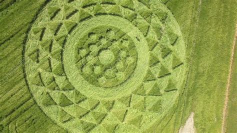 Crop circles, UK - Stock Video Clip - K009/6277 - Science Photo Library