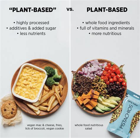 Breaking Down Plant Based Diets - MeowMeix