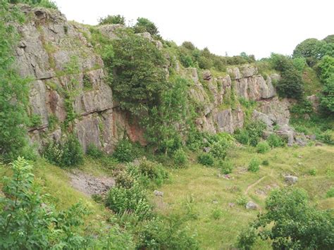 Quarry wall – UK Fossil Collecting