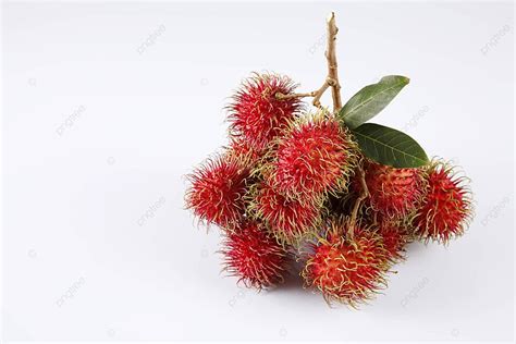 Rambutan Season Nutrition Ingredient Photo Background And Picture For Free Download - Pngtree