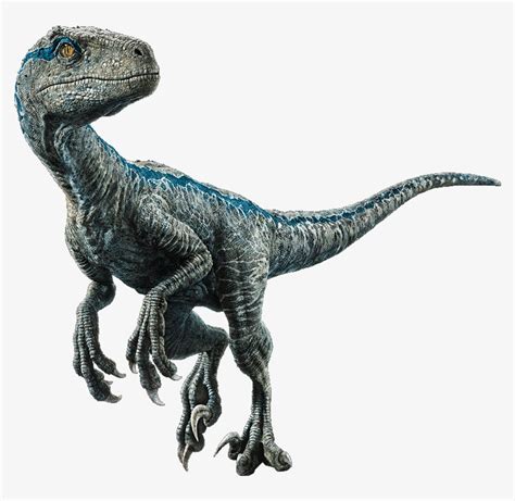 Download Transparent Velociraptor - Jurassic World El Reino Caído ...