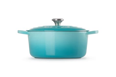 Le Creuset Signature Enameled Cast Iron Round Dutch Oven with Lid & Reviews | Joss & Main