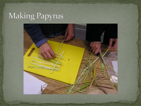 PPT - The making of Egyptian Papyrus PowerPoint Presentation, free ...