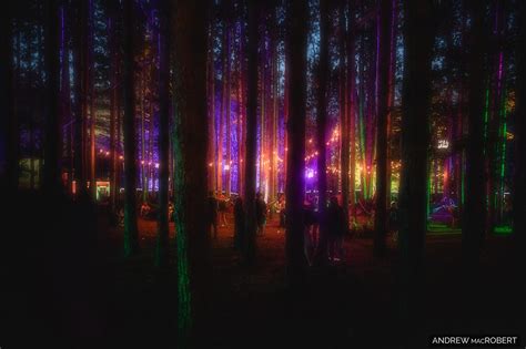 Forest Glow : r/ElectricForest