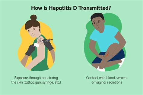 Hepatitis D: Signs, Symptoms, and Complications