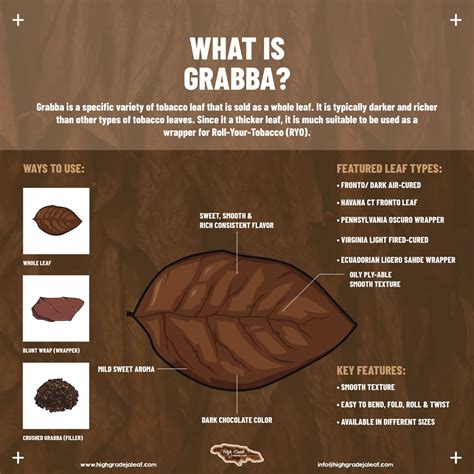 What Is Grabba? | Blog For All Things Grabba Leaf