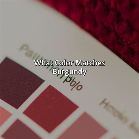 What Color Matches Burgundy - colorscombo.com