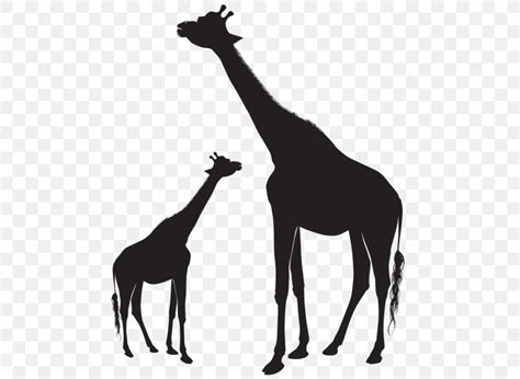 Clip Art Baby Giraffe Silhouette Image Vector Graphics, PNG, 487x600px, Baby Giraffe, Art, Black ...