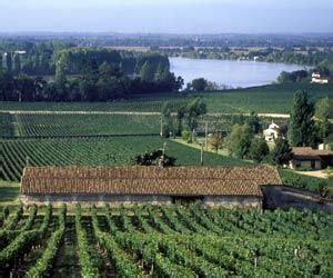 Fronsac AOC, Bordeaux - French Wine Region