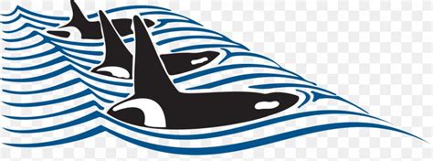 Friday Harbor Whale Watching Clip Art, PNG, 1274x474px, Friday Harbor ...