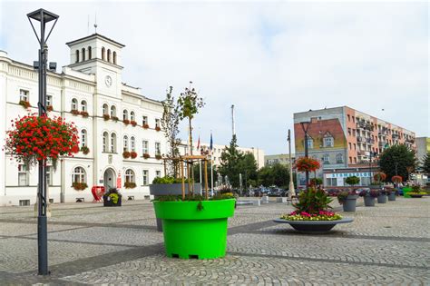 To help concrete squares - large urban pots restore greenery - Greenspired