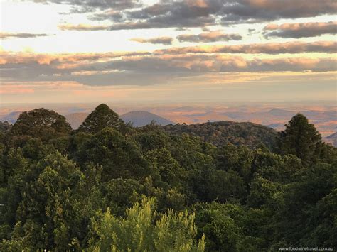 What makes the Bunya Mountains so special?